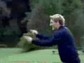 Schweini