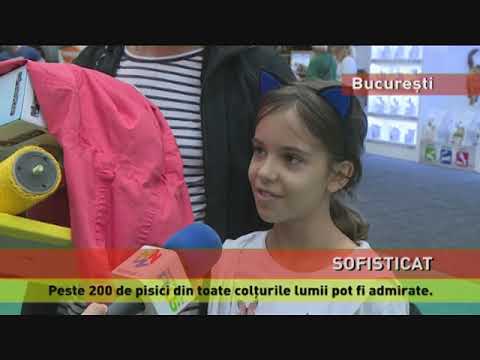 SofistiCAT - Salonul Internațional Felin, la Romexpo