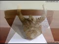 CUCUTENI