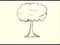 The Seed