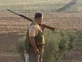 www.PodencoAndaluz.com | video 2: Recova cazando