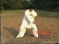 Chen taiji quan fajin by Chenyu ?????