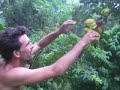 costa rica part 2