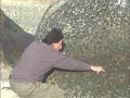 Granito Obicular Granito Obicular