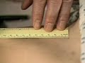 liver examination