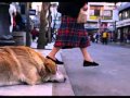 Ver Video