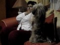 TOSHIO SIEMPRE PIDIENDO QUE? NO LO SABEMOS JAJAJAJA