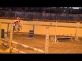 Léna et le poney à ficelle
