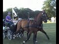 Toppers te paard - G.J.\ Toppers te paard - G.J.\