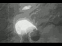 talho_tchom xixiii_sao nicolau