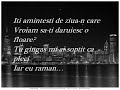 Despre Tine Cant - Dan Balan (with lyrics)