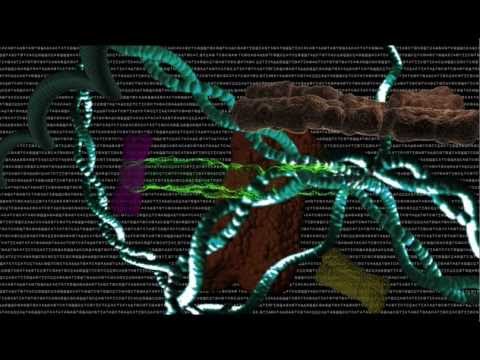cassiopeiaproject - This is a brief video from the Cassiopeia Project explaining the mechanisms behind evolution. Part 1: The Facts of Evolution - http://www.youtube.com/watch?v...