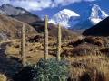 videos de Soy Peruano y Soy Feliz - Elver Villalva Pinedo - Corongo Ancash