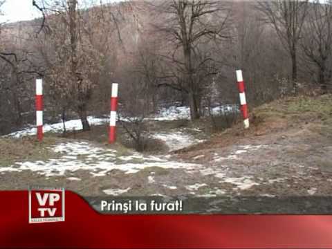 Prinşi la furat!