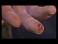 Mammut climbing movie