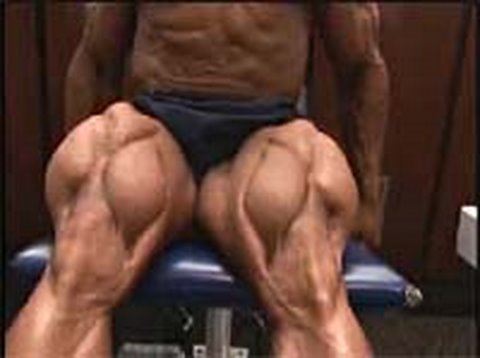 Bodybuilder les plus gros muscles