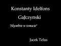 dziwni-letnicy-k-i-gaczyski.html