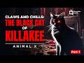 Animal X Black Cat of Killakee Part 1