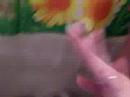 Fiona y sus bebes