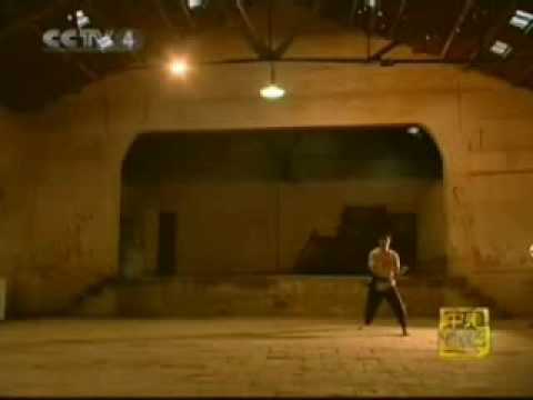 60s HUNG GAR TIGER and CRANE 虎鶴雙形 CHINESE KUNG FU 林世榮遺技 LAM SAI WING ILLUSTRATED 60s HUNG GAR TIGER and CRANE 虎鶴雙形 CHINESE KUNG FU 林世榮遺技 LAM SAI WING ILLUSTRATED