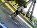 FROM VIAREGGIO TEINO JACKASS.. FROM VIAREGGIO TEINO JACKASS..