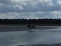 gallopin' along da beach
