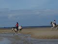 gallopin' along da beach