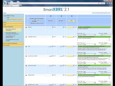 how to fill xbrl