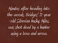 In honor of dog named Miles killed by bowhunter Oct 19 09