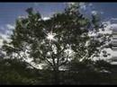 Time Lapse with DVX100 Time Lapse with DVX100