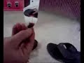 reef sandals with built in flask reef sandals with built in flask