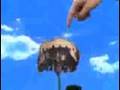 Pushing Daisies season 2 promo #6