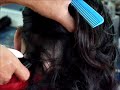 Girl gets nape buzzcut in the barbershop