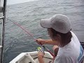 Pekan Jigging