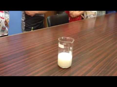 Imatge de previsualització de YouTube