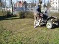 videos de lisek i sasiad