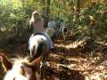 videos de Charity trailride part 4 :   The woods