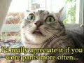 Kat Deluna Ft. Busta Rhymes-Run the show-crazy cat version Manele-Gratis.net