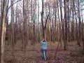 videos de JOHN DEERE SMASHES TREES 