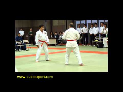 0 photo 0 Le Nippon Kempo – Les différentes écoles (2/2)