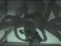huntsman-001-01.mpg
