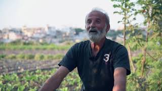 المزارع الفلسطيني.. أحمد مصطفى من مخيم الرشدية