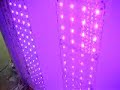 LED lift by Traxon Technologies HK!!