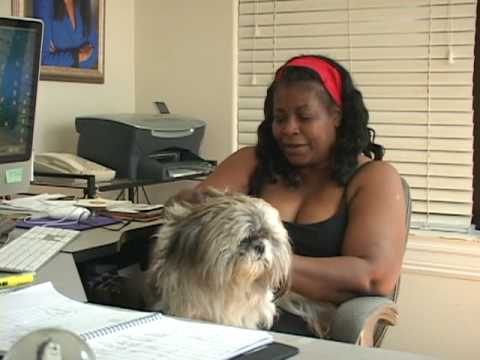 how to get rid of fleas on my shih tzu