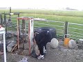 Johan Langhorst 140 kg stone 1,4 m