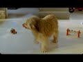 Unox Reclame Humberto commercial