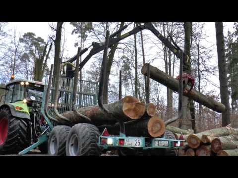 Brennholz-Aufbereitung 2017 |*Brennholz Engel*|