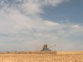 Harvest