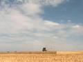Harvest