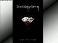The OFFICIAL Breaking Dawn Cover